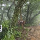 금산목장2 | 아이와 비 오는 날 보리암 금산 산장 이용후기 보리암 주차 주말 금산 산장 가는 길 (남해&amp;보령 5박 6일...