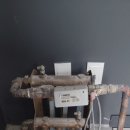 정자일로213번길 이미지