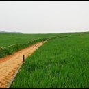 고창농장 이미지