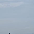 바다목장 - 안산시 단원구 육도안길 29 | 신천목장 산책 후기｜제주 바다와 초원을 함께 만나는 올레길 숨은 명소