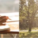 구립명인어린이집 이미지