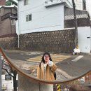 하늘바람소극장 | 1박 2일 묵호 혼여행 코스(묵호소극장 물품보관함, 카라멜스테이션, 논골담길, 말똥도나스, 연필뮤지엄...