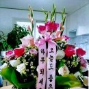동방유통 이미지