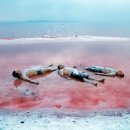 너만볼개 이미지