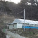 비타민 흑염소농장 이미지