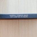 요술강아지 이미지