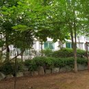 수원가온초등학교 이미지