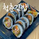 진주네분식 | 진주 충무공동 분식집 청춘김밥 혁신 김밥 떡볶이 가성비 맛집