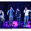 고래고래 이미지