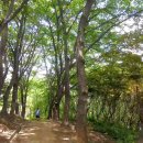 독산공원 이미지