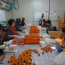 장창수농장 이미지