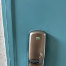 선산대로-13 이미지