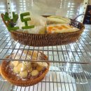 고아웃위드 카페 앞 | 금천구 독산동 카페 쌀베이글 과일산도 맛집 고아웃위드