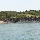 (주)그린크루즈 Daum카페