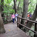 해인사 소리길 이미지