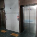 벚꽃로36길 이미지