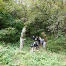 일락산 임도 화장실 이미지