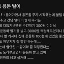 용돈벌이 네이버블로그