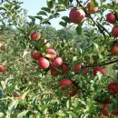 해망산농장 이미지