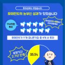 앨엔피코스메틱