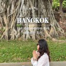 디에스동양해외관광 | 태국 방콕 자유여행 아유타야 오전 투어 내돈내산 후기