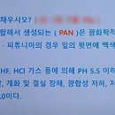 경화 대 반점 | 식물보호 기사, 식물보호 산업기사 필답형 시험 대비, 재해, 대기오염 물질