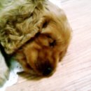 망우동-011 이미지