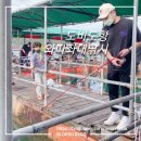 와따 좌대낚시터 | 당진 도비도항 좌대낚시 와따좌대 낚시 리얼후기입니다~!! 우럭 대박 파티!!