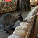 (주)푸드베네치아하남점 | 아이들과 주렁주렁 동물원 하남점에 다녀왔어요.(주차, 예매, 식당, 내돈내산 방문 꿀팁 후기)