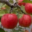 승화농장 이미지