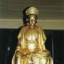 추원모차골 이미지