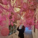 선창목장 이미지