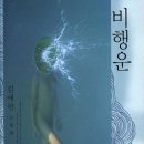 비행운