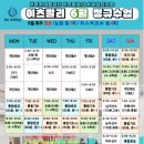 서초중앙로31길 6-9 이미지