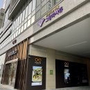 슈엘로안경 | 하남 미사 안경, 슈엘로안경