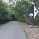 나봄야영장 이미지