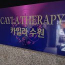 수원-0267 이미지