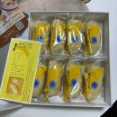 영상으로 떠나는 힐링여행 | modhanni] 도쿄 2박 3일 반짝 힐링 일정, 가볍게 떠나는 짧은 도쿄 여행