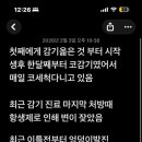 새솔어린이병원 네이버블로그
