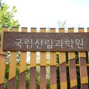 (신청중)5월5일(화) 동대문구 홍릉숲길 이미지