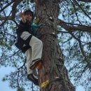 용면초등학교 이미지