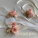 꽃해요 이미지