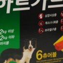 대현동물약국 이미지