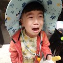 바닷길 풍경 | 아기랑 태안 갯벌체험 '진산리갯벌체험장' 후기 (한여름은 꼭 피하기)