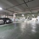 송강체육관 이미지