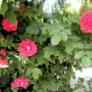 계절의집 이미지