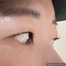 백양세탁 | [강남/신사]요즘 날씨는 속눈썹펌 제철:포레서울