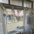담티약국