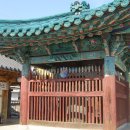 홍제사 Daum카페