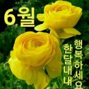 한해의 절반인 6월에는... 이미지